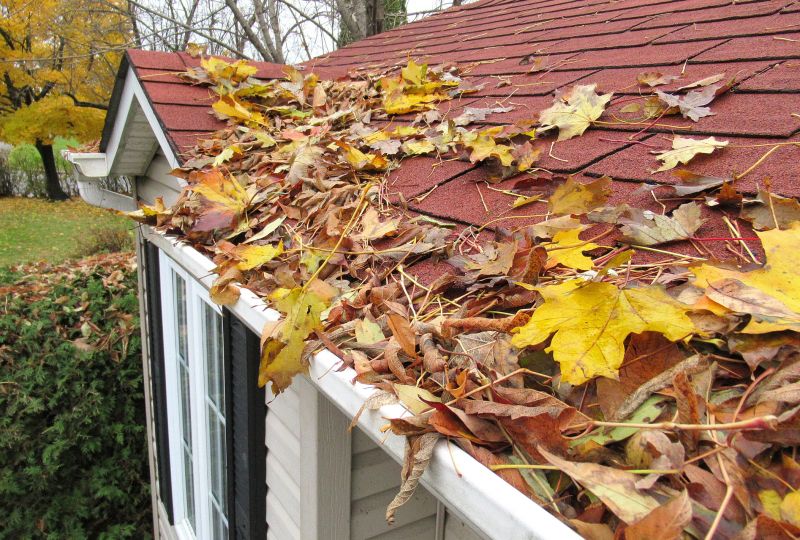 Fall Roofing Project